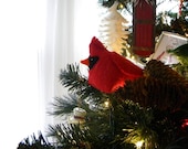 Cardinal Ornament PDF Pattern, felt and plush bird, Thumbprint Patterns, pattern ONLY