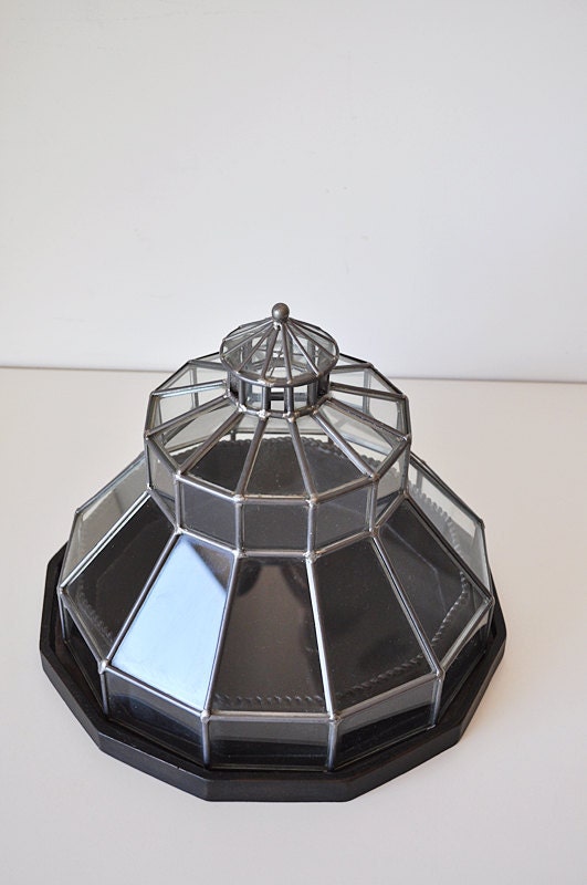 Glass Terrarium