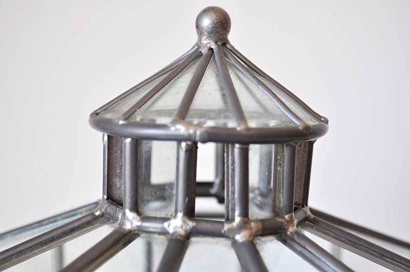 Glass Terrarium