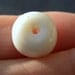 Hawaiian Puka Shells, jewelry making supplies, 25 med/large shells, 6-10mm