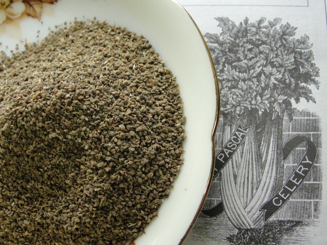 CELERY SEED  1/2 CUP Culinary Dried Herb Cooking Pickling Potato