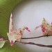 Spring Bloom Yarn Wreath - Origami Crane Pink Felt Flower 12"