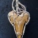 RESERVED// Sterling Silver Fossiized Sharks Tooth and Vera Cruz Amethyst Pendant