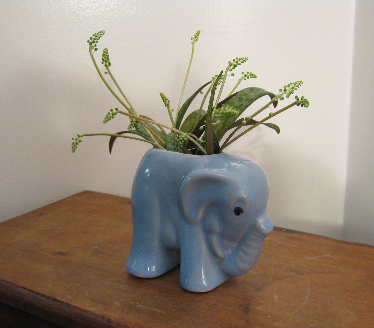 Blue Elephant Planter