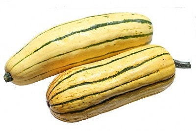 Organic Delicata Squash