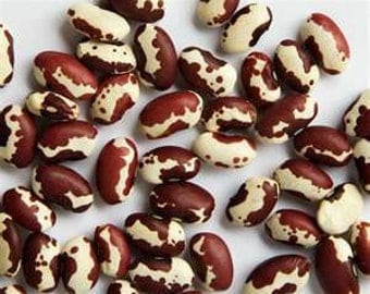 10 Lbs. Ancestral puebloan  Beans (paint), 10 Pounds Bolita beans. 2-10 lb bags. Colorado grown organic