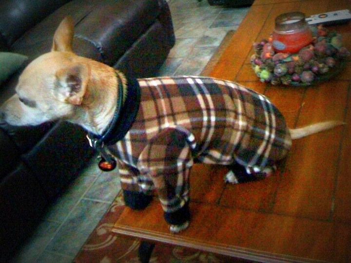 CUSTOM Puppy Fleece Plaid Pjs