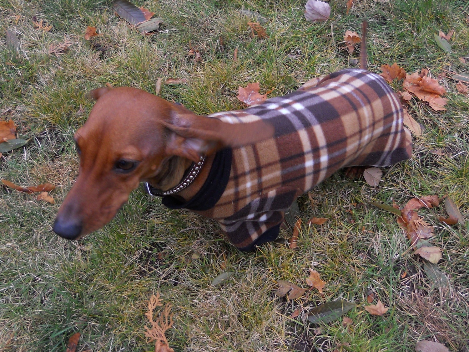CUSTOM Puppy Fleece Plaid Pjs
