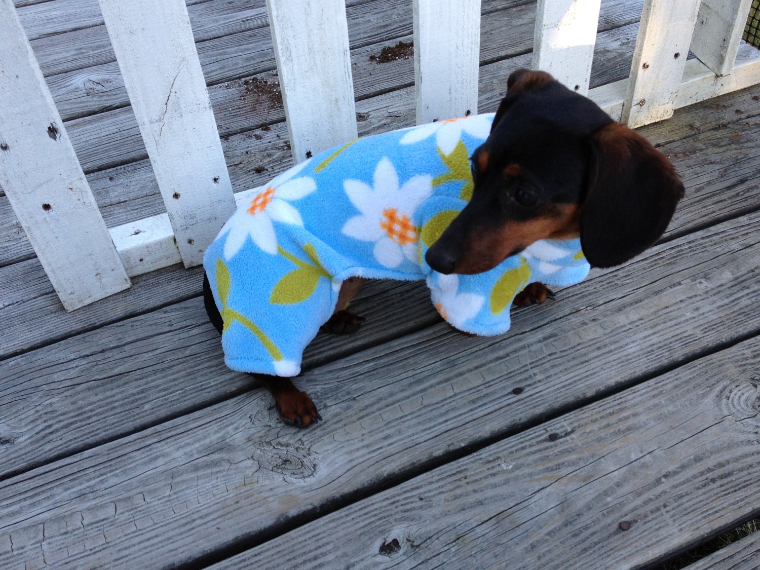 SMALL Ready to Ship Light Blue Daisy Dog Cuddle Fleece Dog Pjs