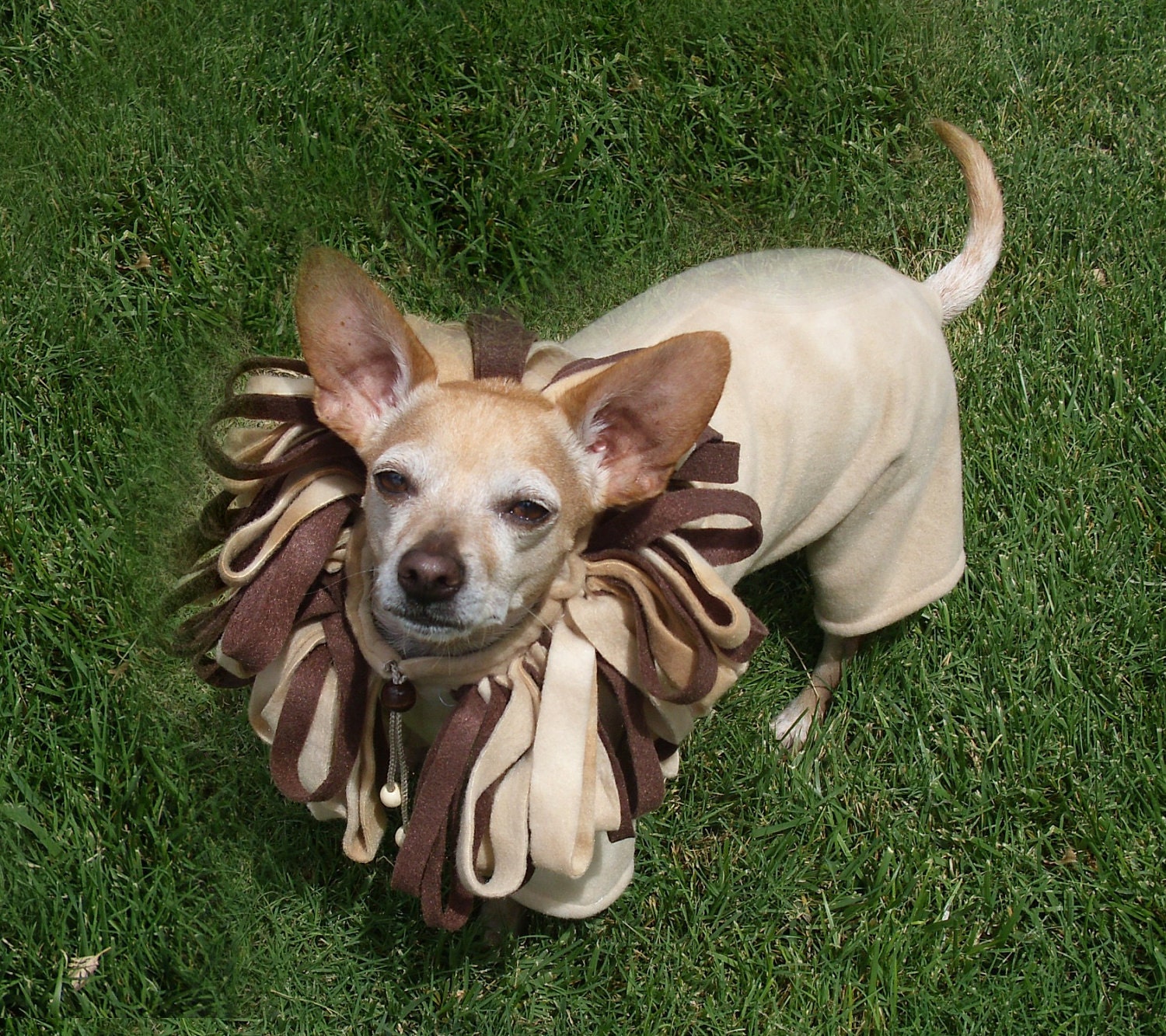 Little Lion Man Dog Costume