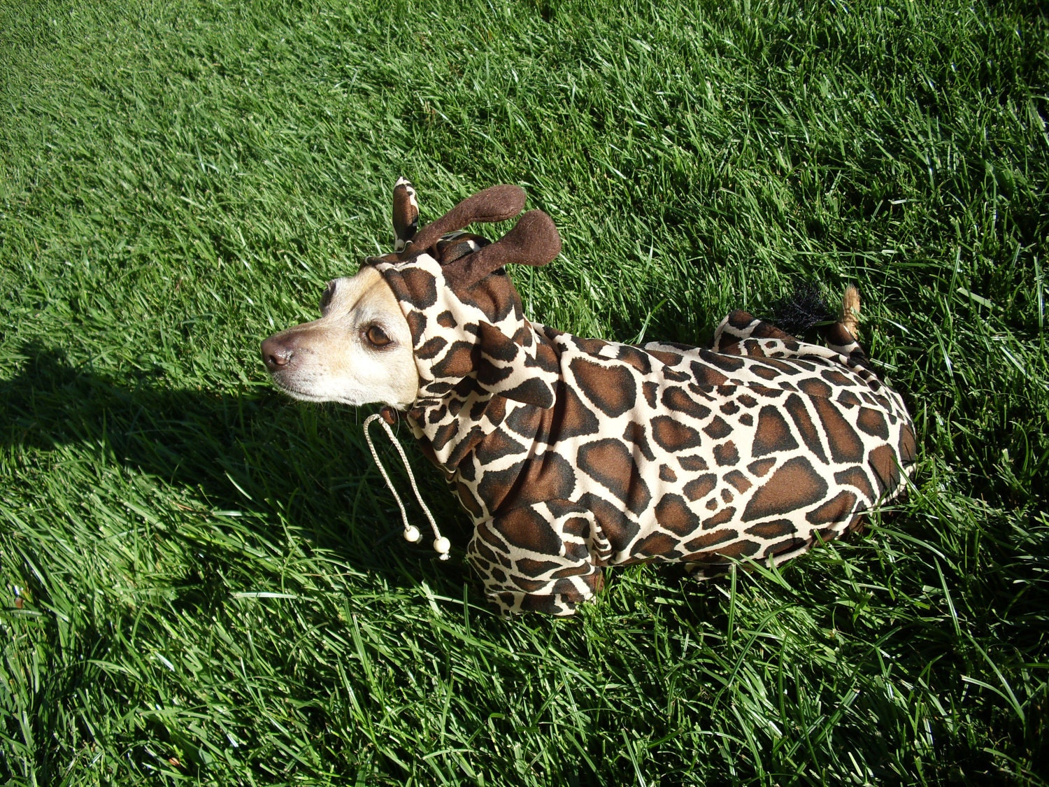 Giraffe Dog Pet Costume ALL SIZES AVAILABLE