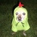 Yoshi Nintendo Dog Costume Cosplay