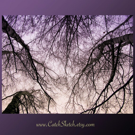 Trees and Heaven Unity - Print of Original Foto - 8" x 11" - for her - for him - best gift
