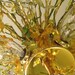 Chandelier, Crystal, Spring Blossom and Vine, One of a Kind