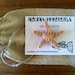 Medium-Large Natural Sugar Star Fish Hair Clip by IndianSummerGirls