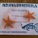 Two Small Natural Sugar Starfish on craft bobby pins by IndianSummerGirls