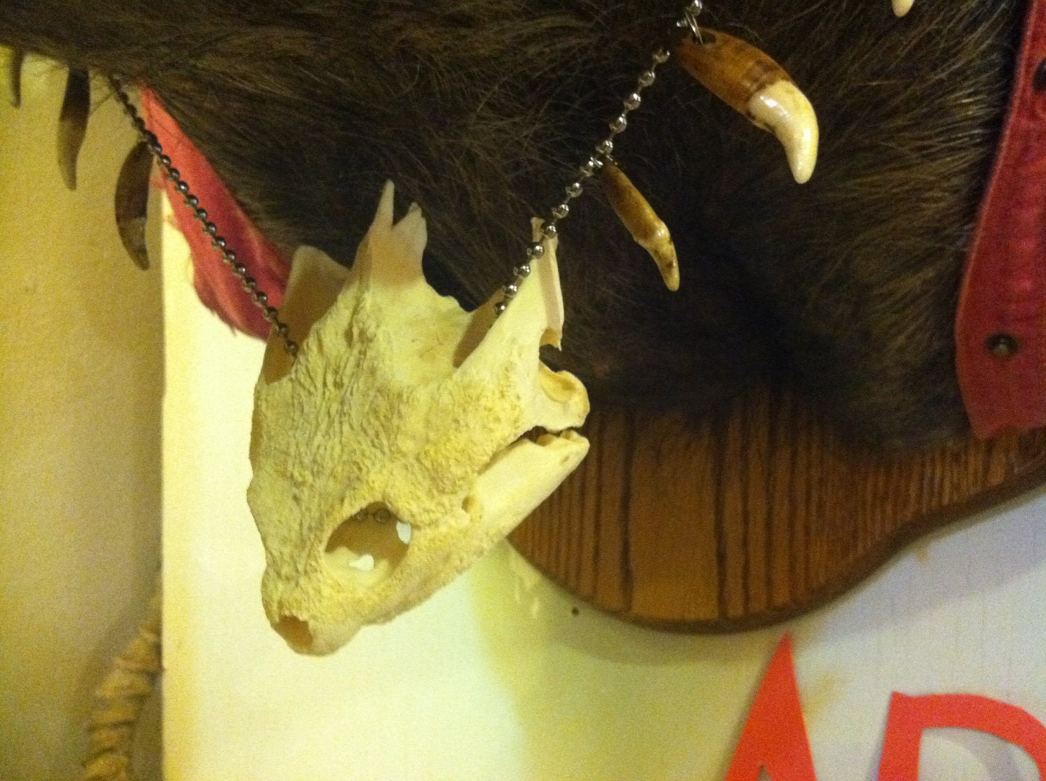 TMNT Bebop Taxidermy Sculpture