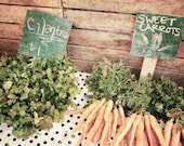 Cilantro and Carrots at Hollywood Farmers' Market - Kitchen Decor, 8x12" Fine Art Matte Photography Print