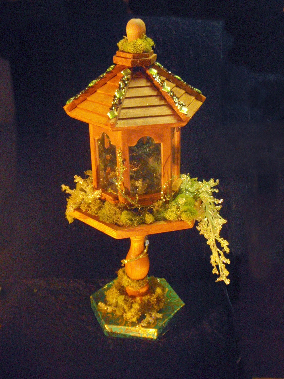 Butterfly dragon and house