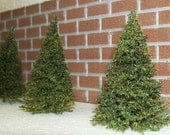 MINIATURE PINE TREES for diorama designs,  doll house layouts, or railroad train layouts - 9 pack -3"
