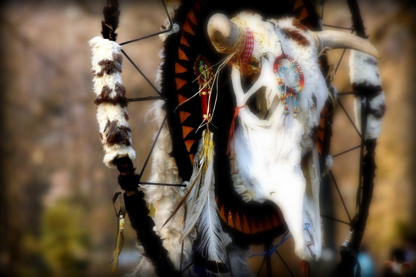 Modern abstract print, Native totem composition Fine Art Photography, Tribal, primitive, dream catcher art print  8 x 12''