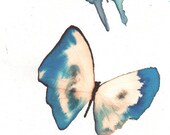 pair of blue butterflies with white gold- original watercolour and ink painting