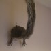 Taxidermy British Squirrel Butt Wall Hanger Look Great Over The Doorway.