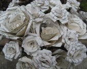 Harry Potter Roses. 6 Large, 20 Small. Perfect for First Anniversary, Weddings, Birthdays. Unique Gift. CUSTOM ORDERS WELCOME.