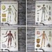 Anatomy and Physiology Charts - W. & A.K. Johnston - Set of 8