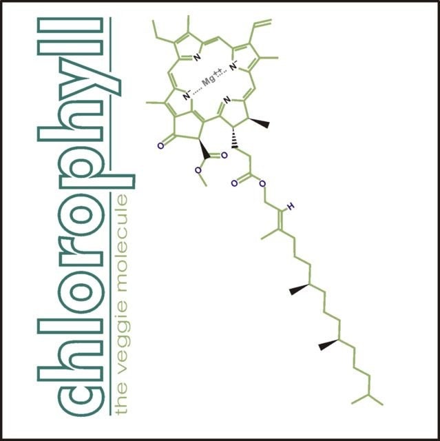 Chlorophyll Molecule T-Shirt