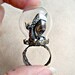 Dragon terrarium ring - Miniature Game of thrones inspired art ring