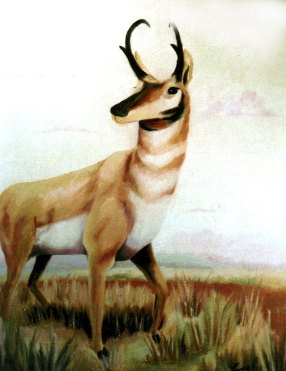 ACEO - The Sentinel