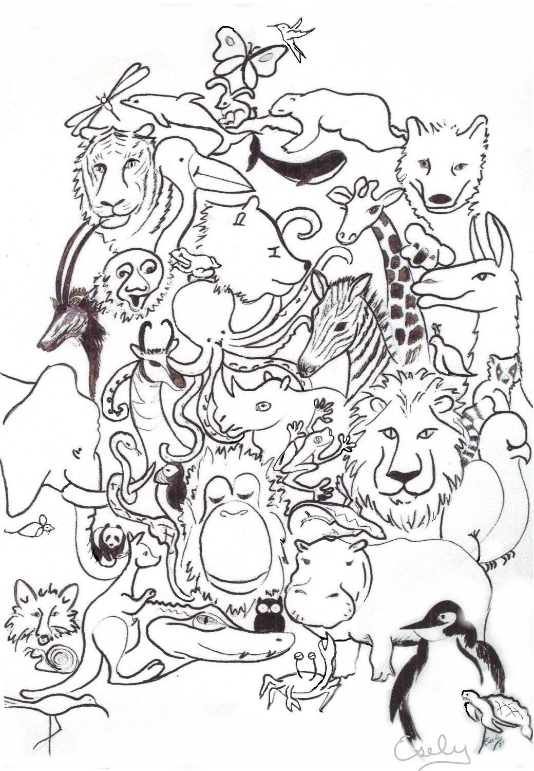ACEO - the Exotics