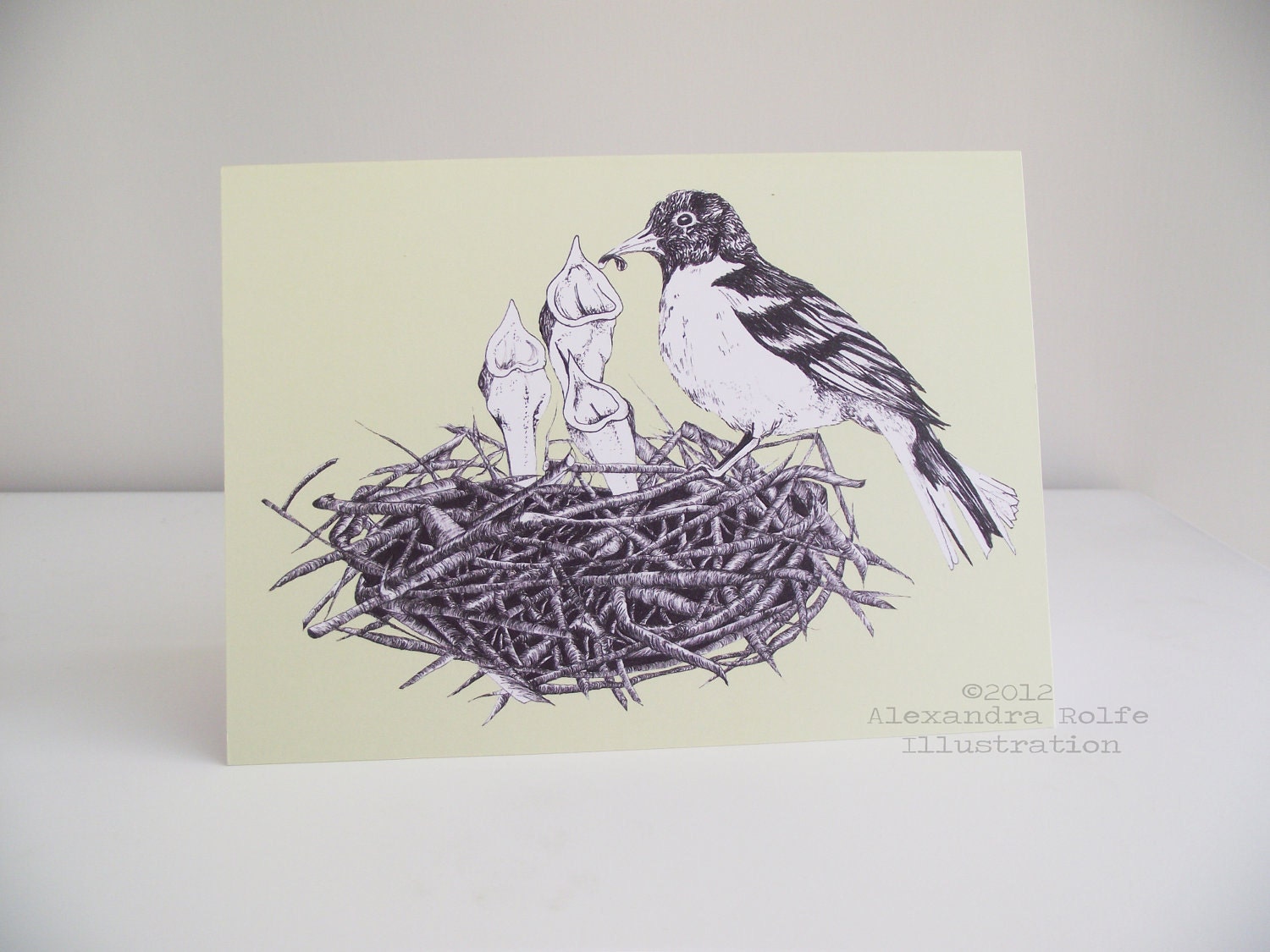Birds nest feeding baby birds, Spring illustration greeting card