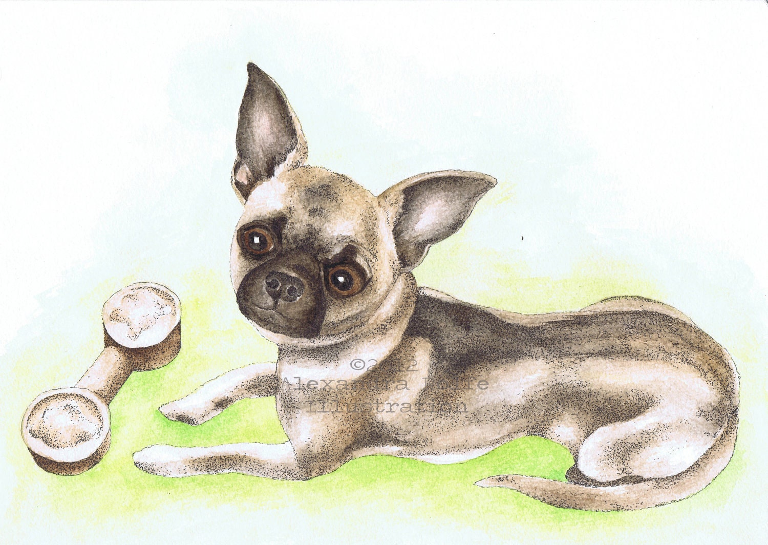 An original pet portrait illustration - custom made - watercolours