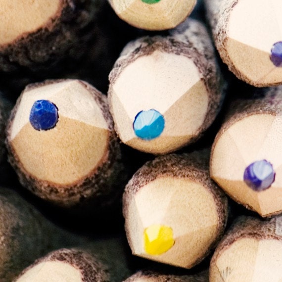 Colorful pencils Photography - 8x8 photograph print - Colored Art Pencils nursery school class education creative 'Get to the Point'