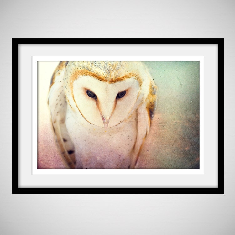Barn Owl Photo - 8x12 Photograph - Owl Art Print - Owl Photograph - dreamy fairy tale forest woodland 'A Little Bit Lost'