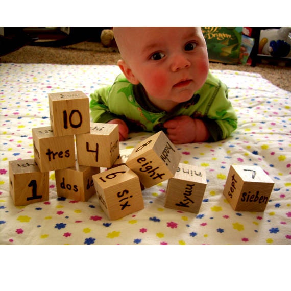 Genius Baby Blocks - Wooden Foreign Language Numbers - Pyrography