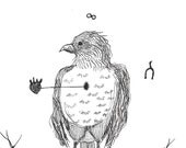 robin - black and white bird drawing - pen and ink - harbinger of spring