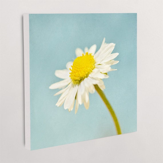 Retro Flower Photograph Pastel Flower Art 10" by 10" Photograph Print Daisy Photo