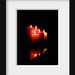 Candles, in the dark, fine art photo, still life, black, yellow, red, giclee print, 12x9  - titled: Candles