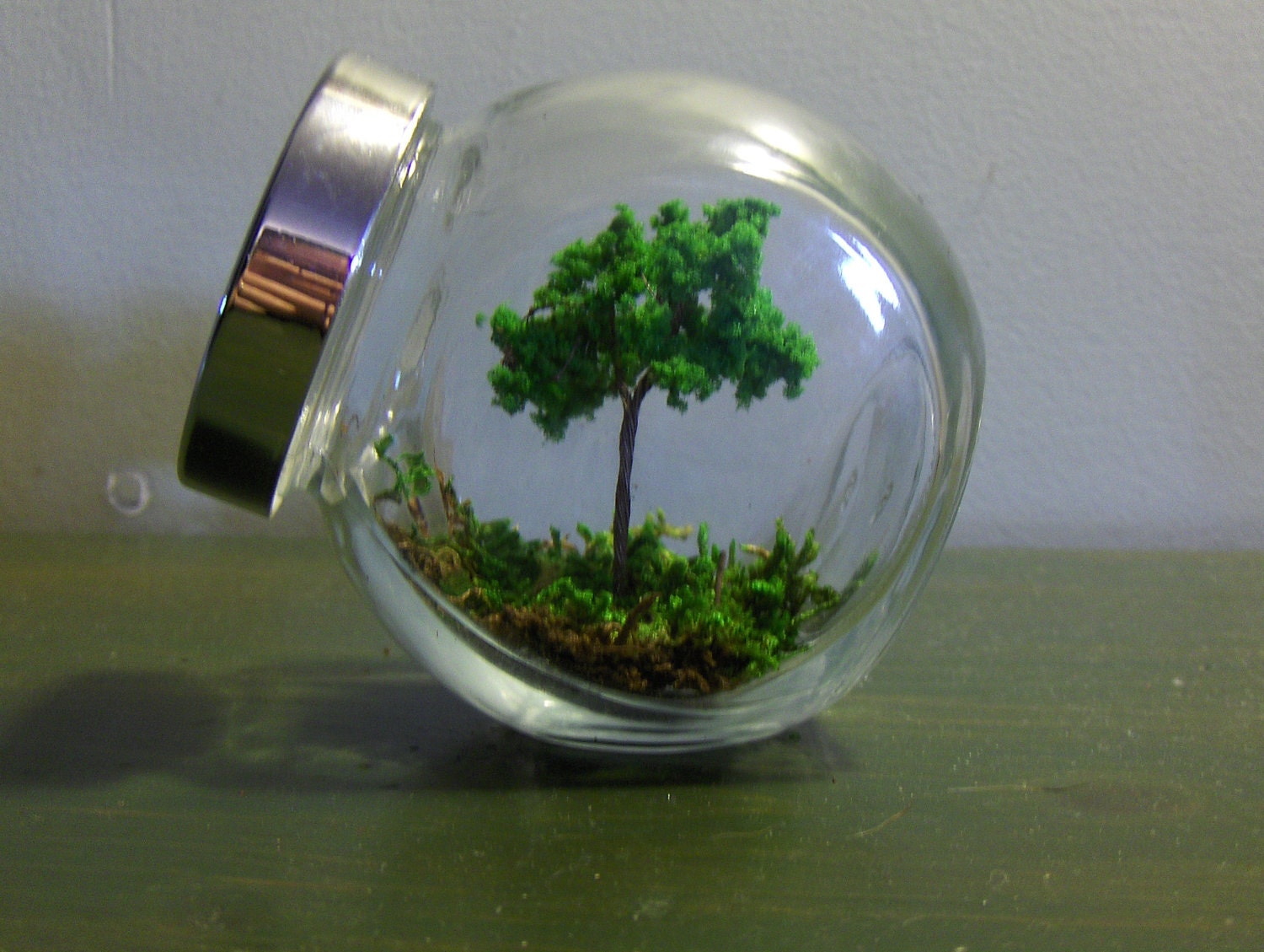 A shady spot. "no care terrarium"