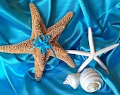 Beach Destination Wedding Starfish Ring Bearer Pillow Alternative w/ Turquoise (or Customizable) Ribbons