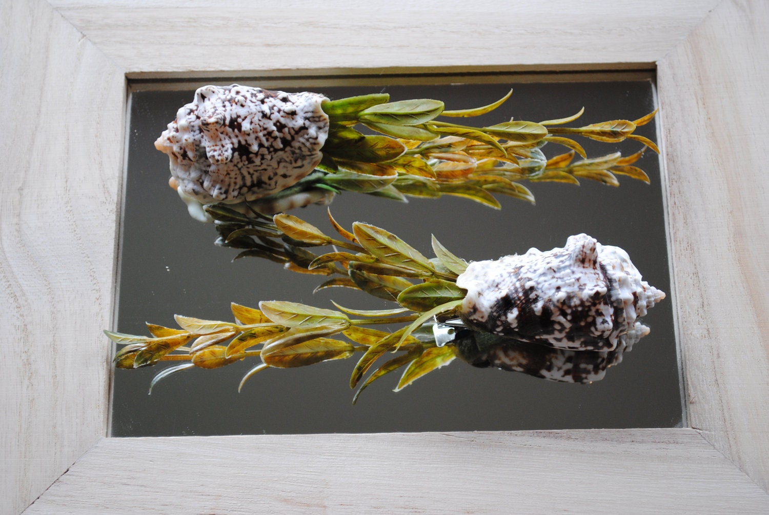 Small shell and seaweed clip