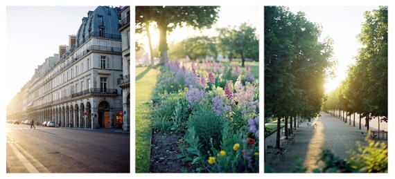 custom listing for katie - set of three photographs