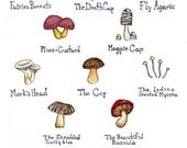 Mushrooms Watercolor Art Print