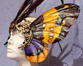Diva Moth Mask