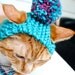 Pom Pom Cat Hat - Teal and Pink