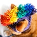 Cat Hat Costume - Purple and Rainbow Mohawk