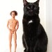 Ken Doll Brunette Hair Mattel Toy Free Cat Hair